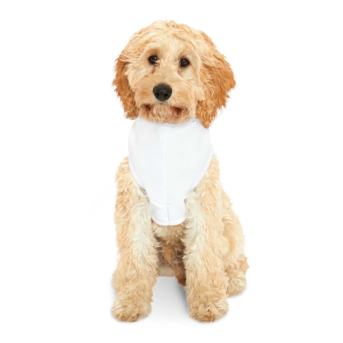Funny Corgi Pet Hoodie