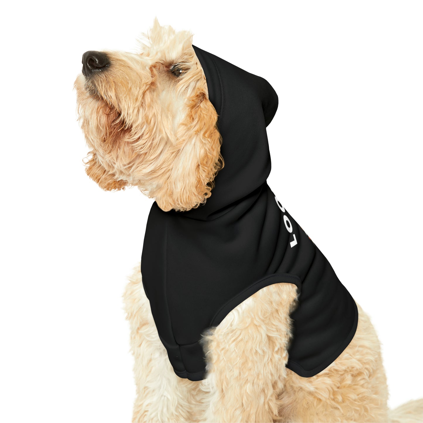 Funny Corgi Pet Hoodie