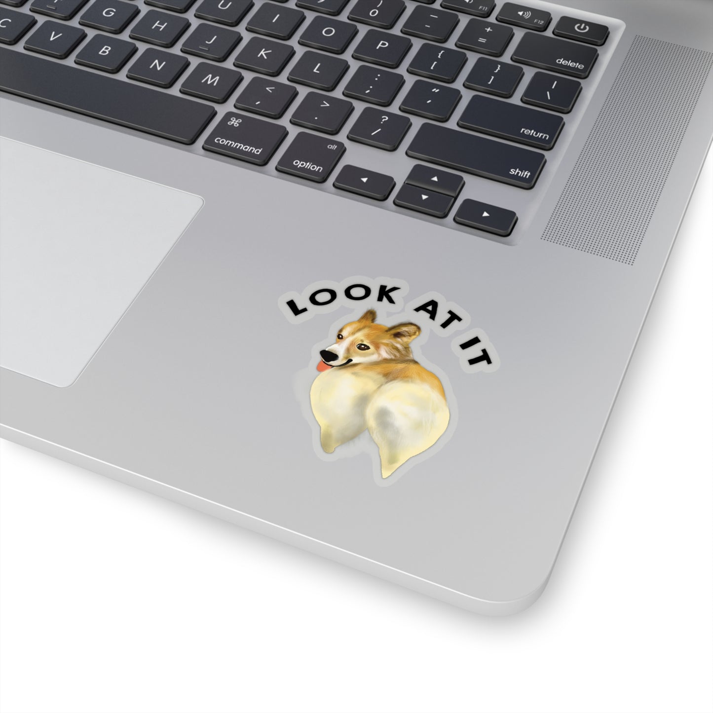 Funny Corgi Lover Sticker