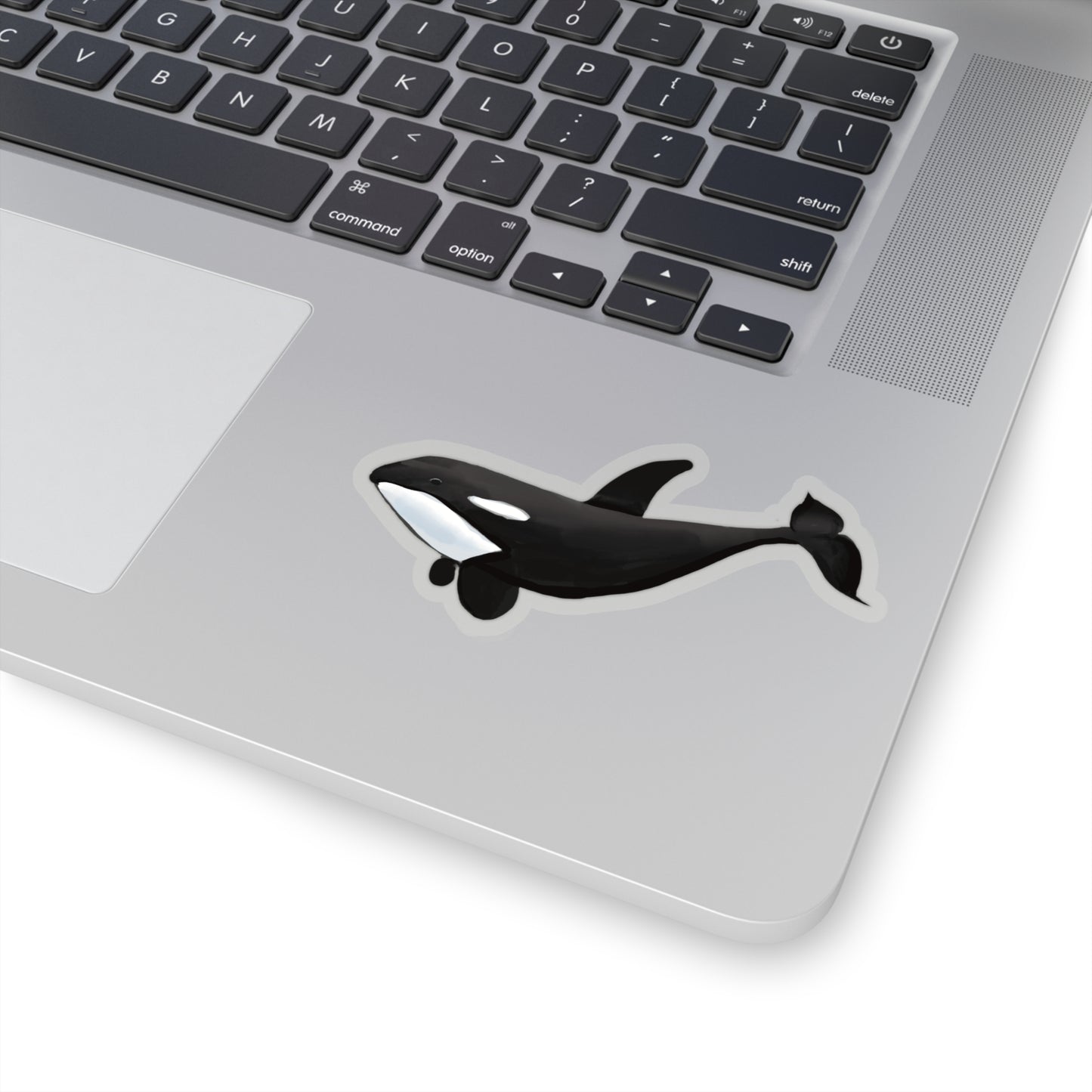 Orca Whale Sticker