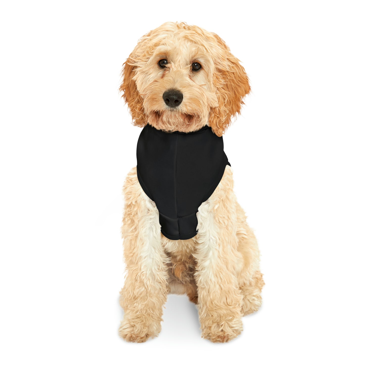 Funny Corgi Pet Hoodie