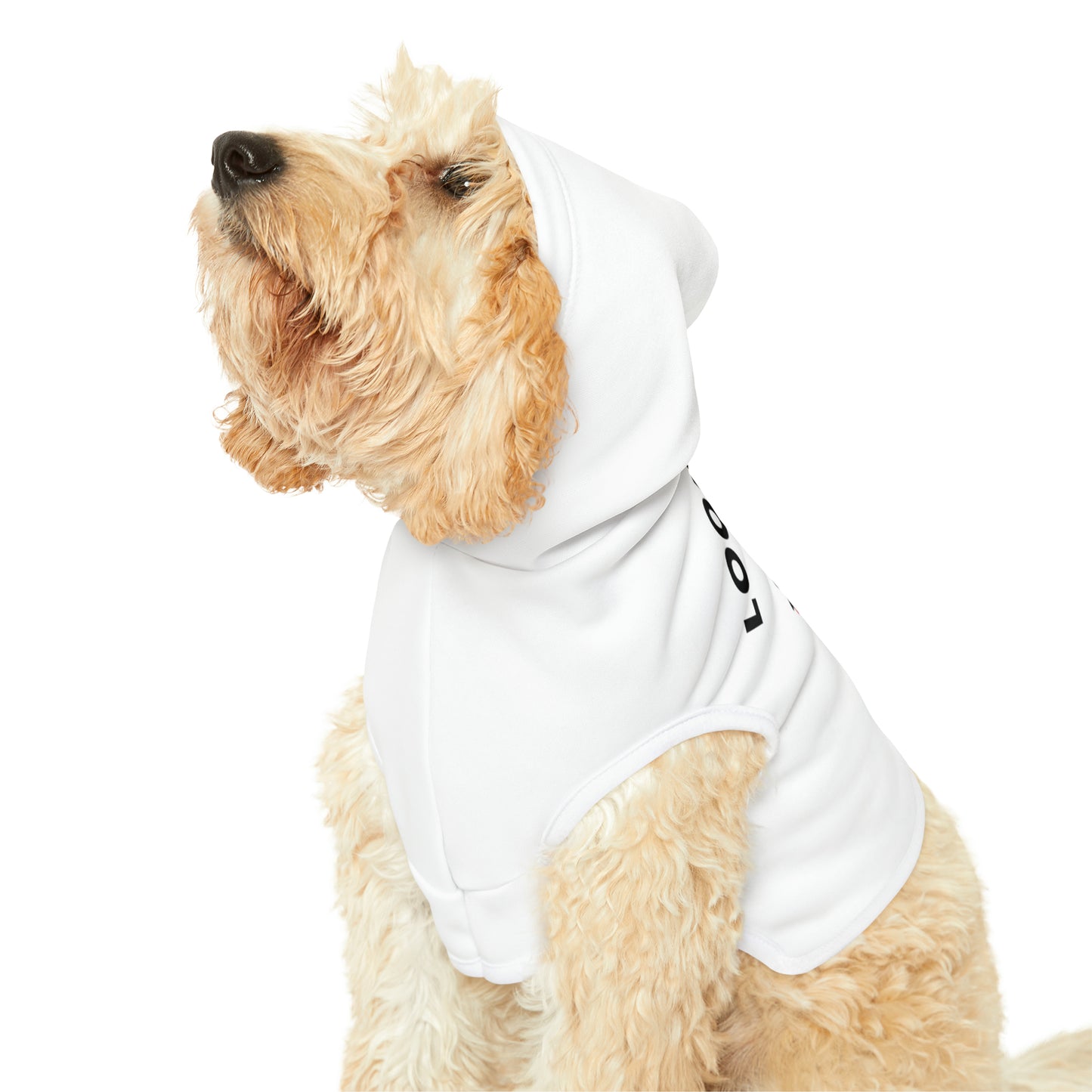 Funny Corgi Pet Hoodie