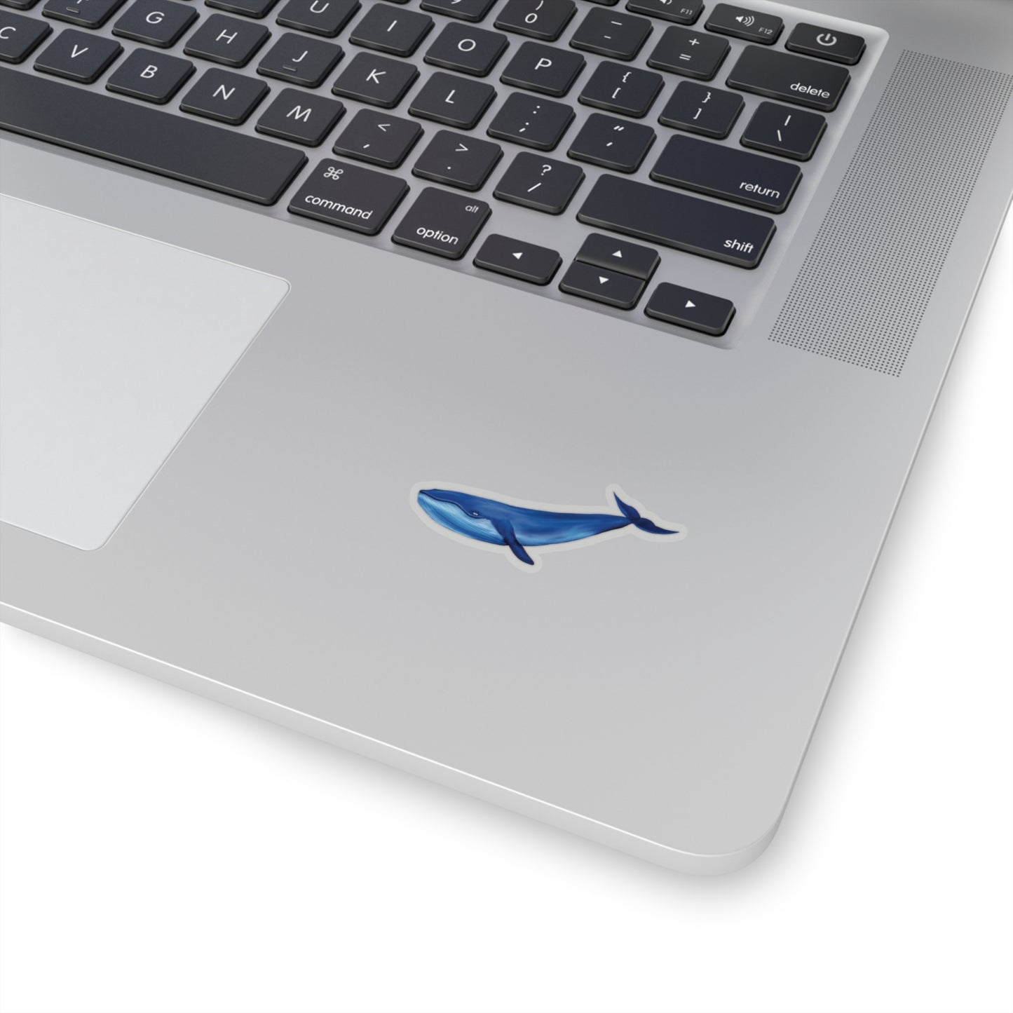 Blue Whale Sticker