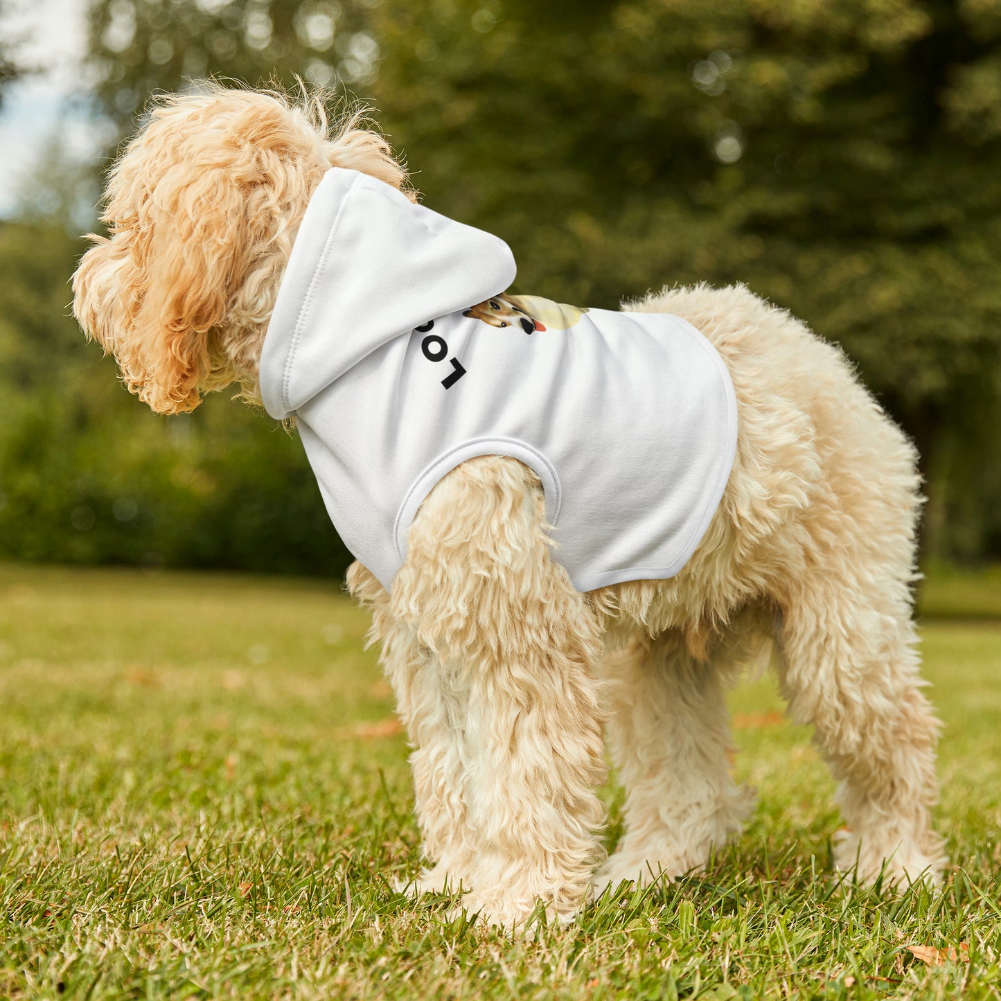 Funny Corgi Pet Hoodie