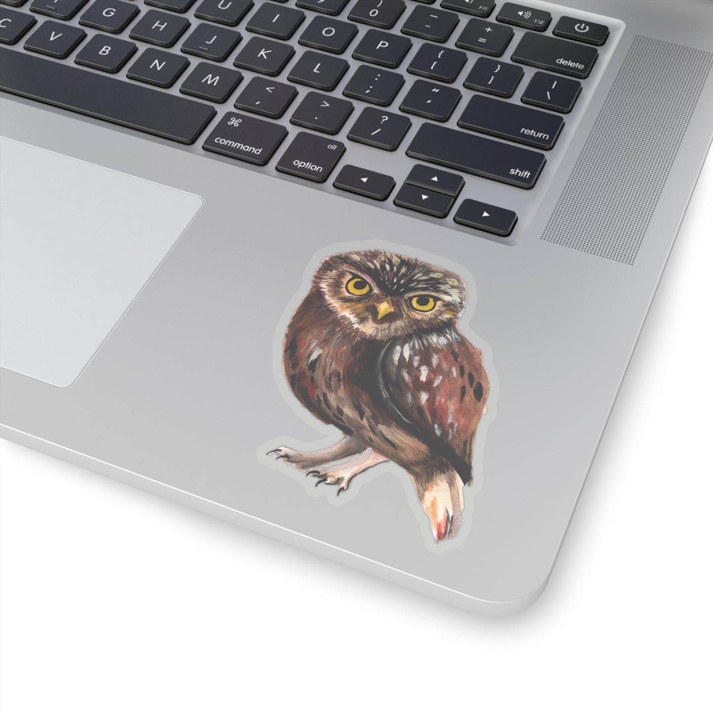 Watercolor Owl Sticker, pretty watercolor owl sticker, owl lovers gift, gift idea for animal lover, owl lover cute vinyl sticker