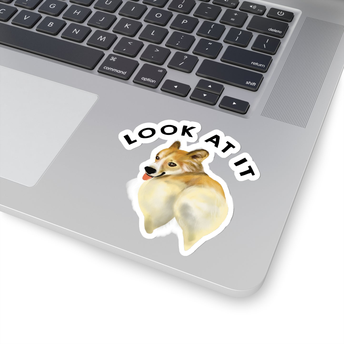 Funny Corgi Lover Sticker