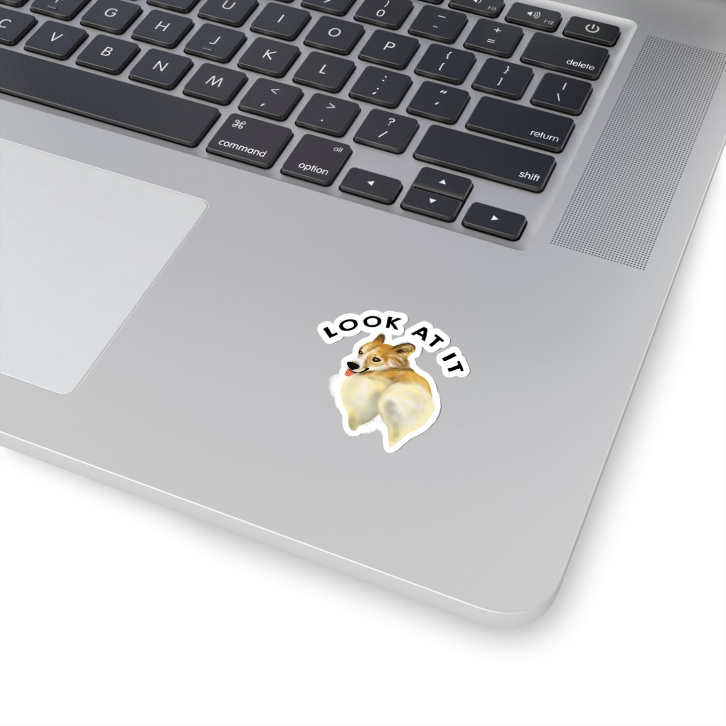 Funny Corgi Lover Sticker