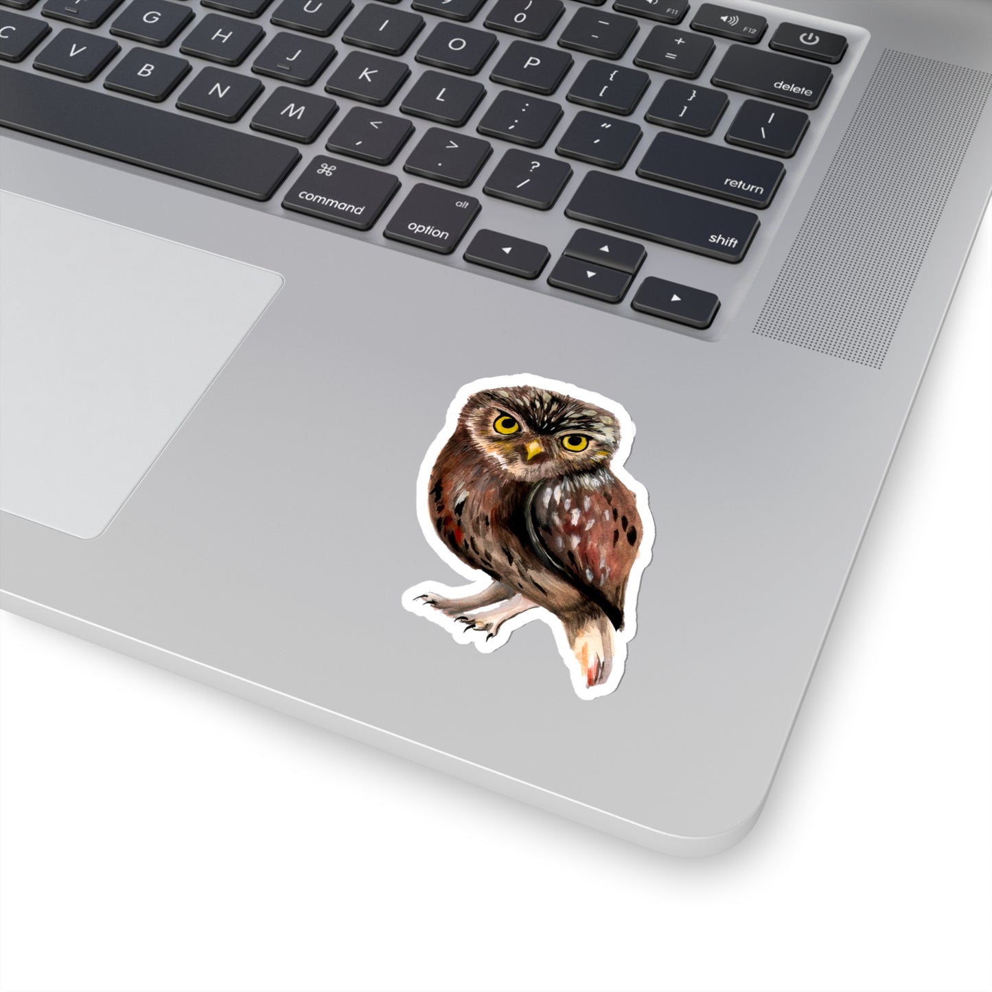 Watercolor Owl Sticker, pretty watercolor owl sticker, owl lovers gift, gift idea for animal lover, owl lover cute vinyl sticker