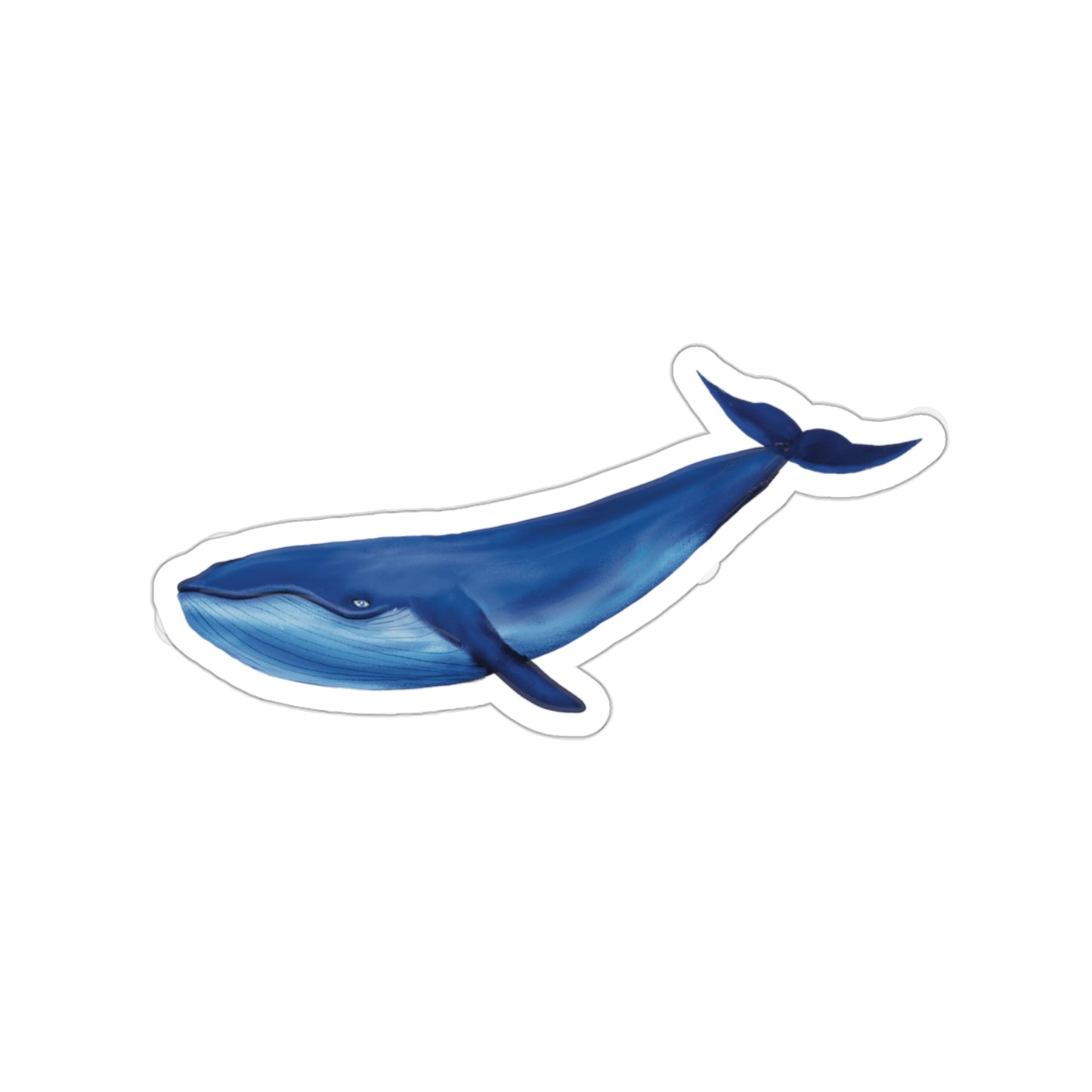 Blue Whale Sticker