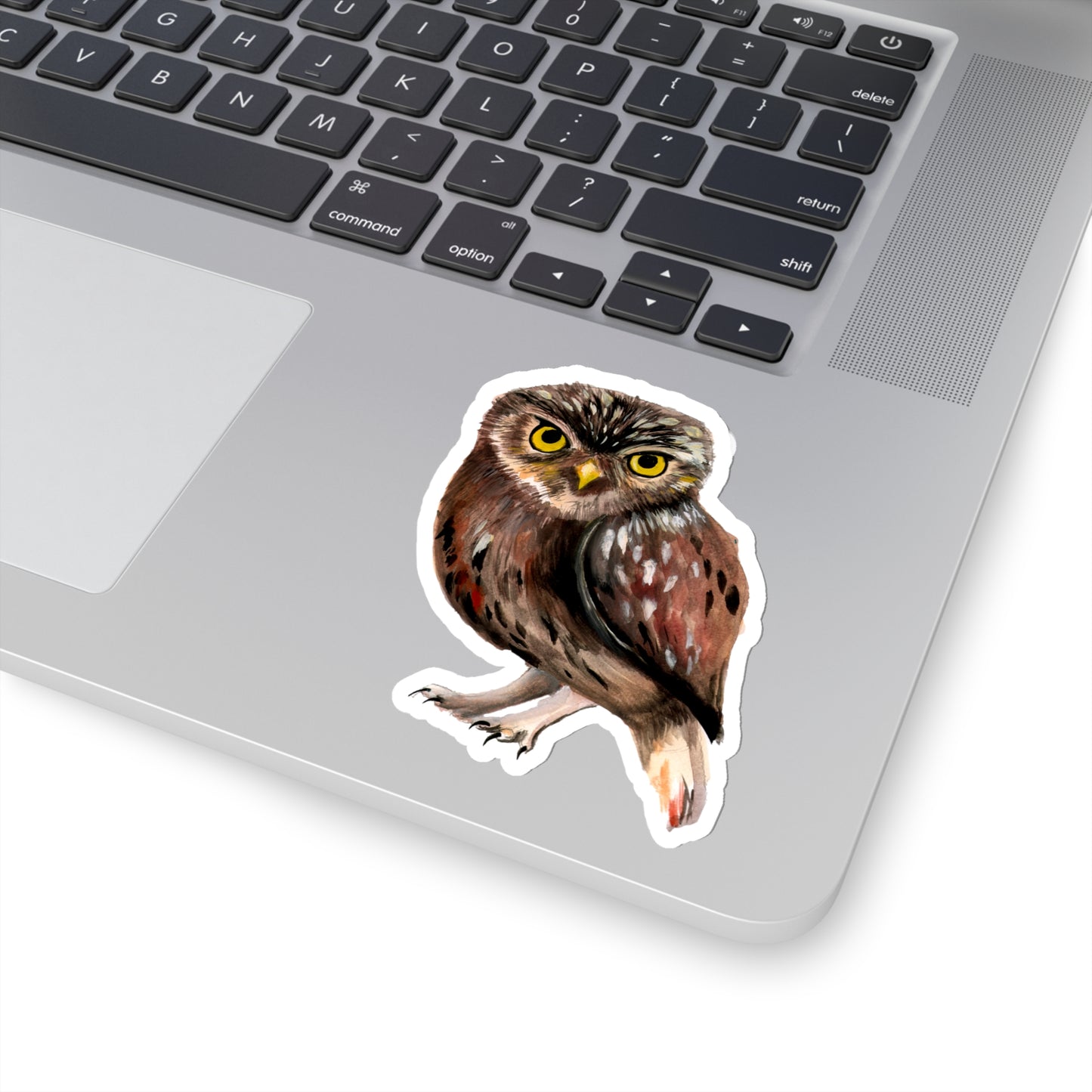 Watercolor Owl Sticker, pretty watercolor owl sticker, owl lovers gift, gift idea for animal lover, owl lover cute vinyl sticker