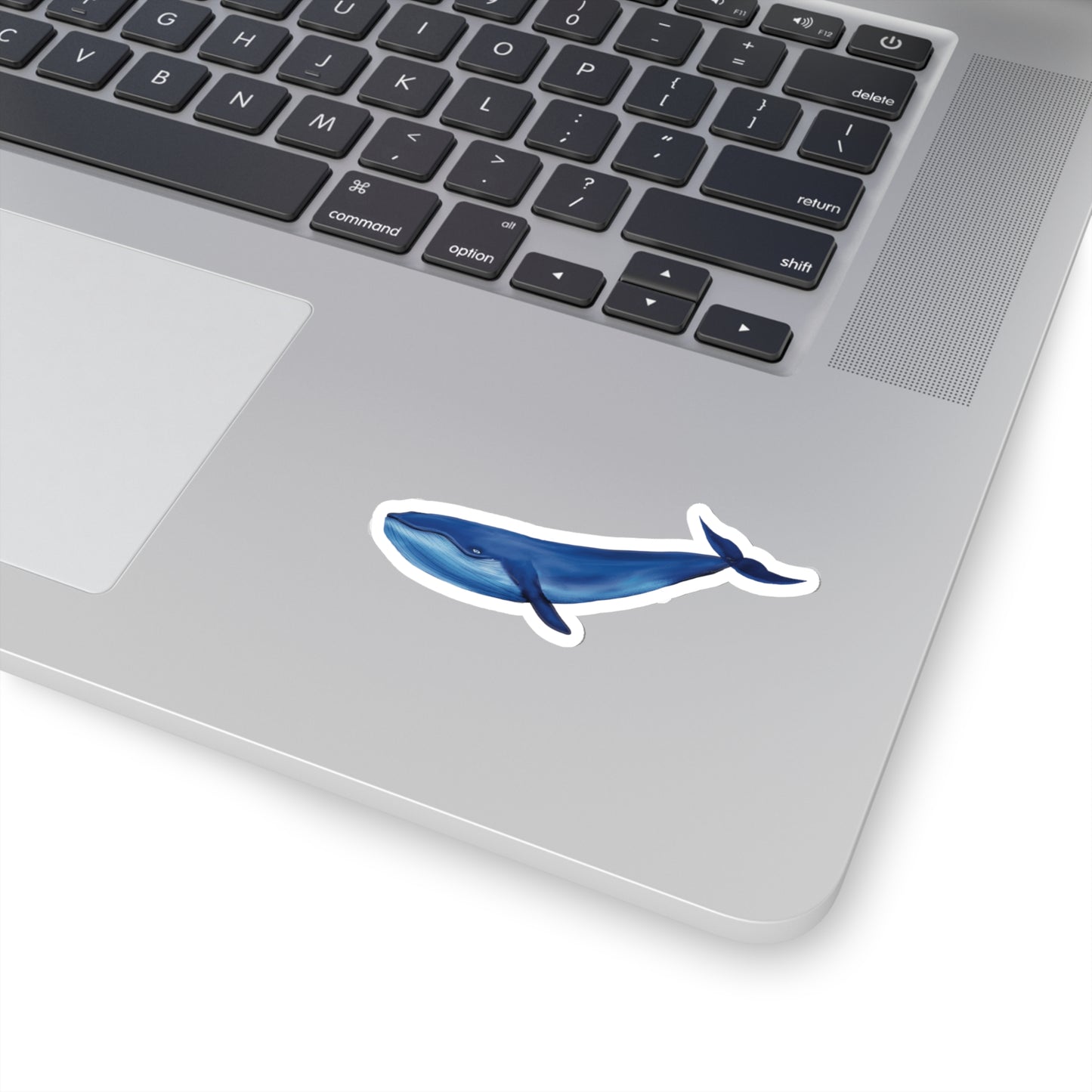 Blue Whale Sticker