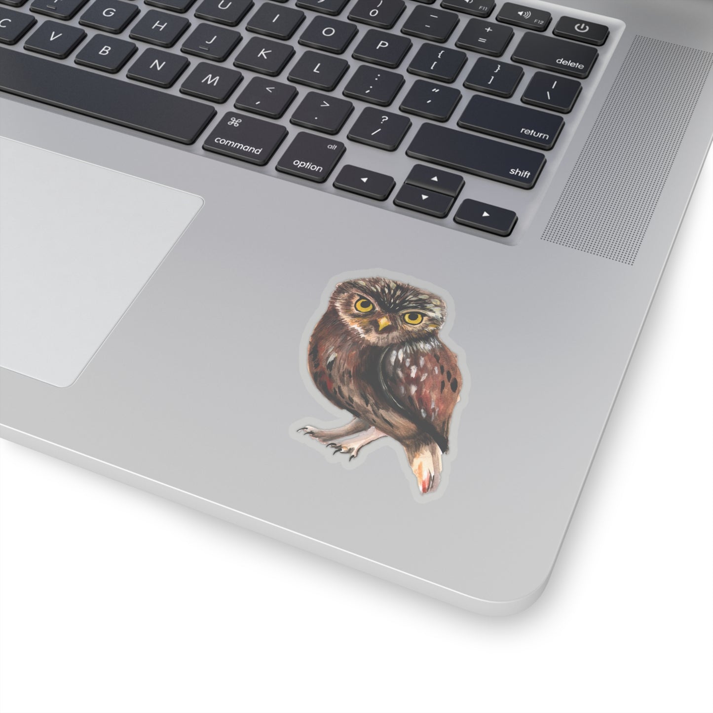 Watercolor Owl Sticker, pretty watercolor owl sticker, owl lovers gift, gift idea for animal lover, owl lover cute vinyl sticker