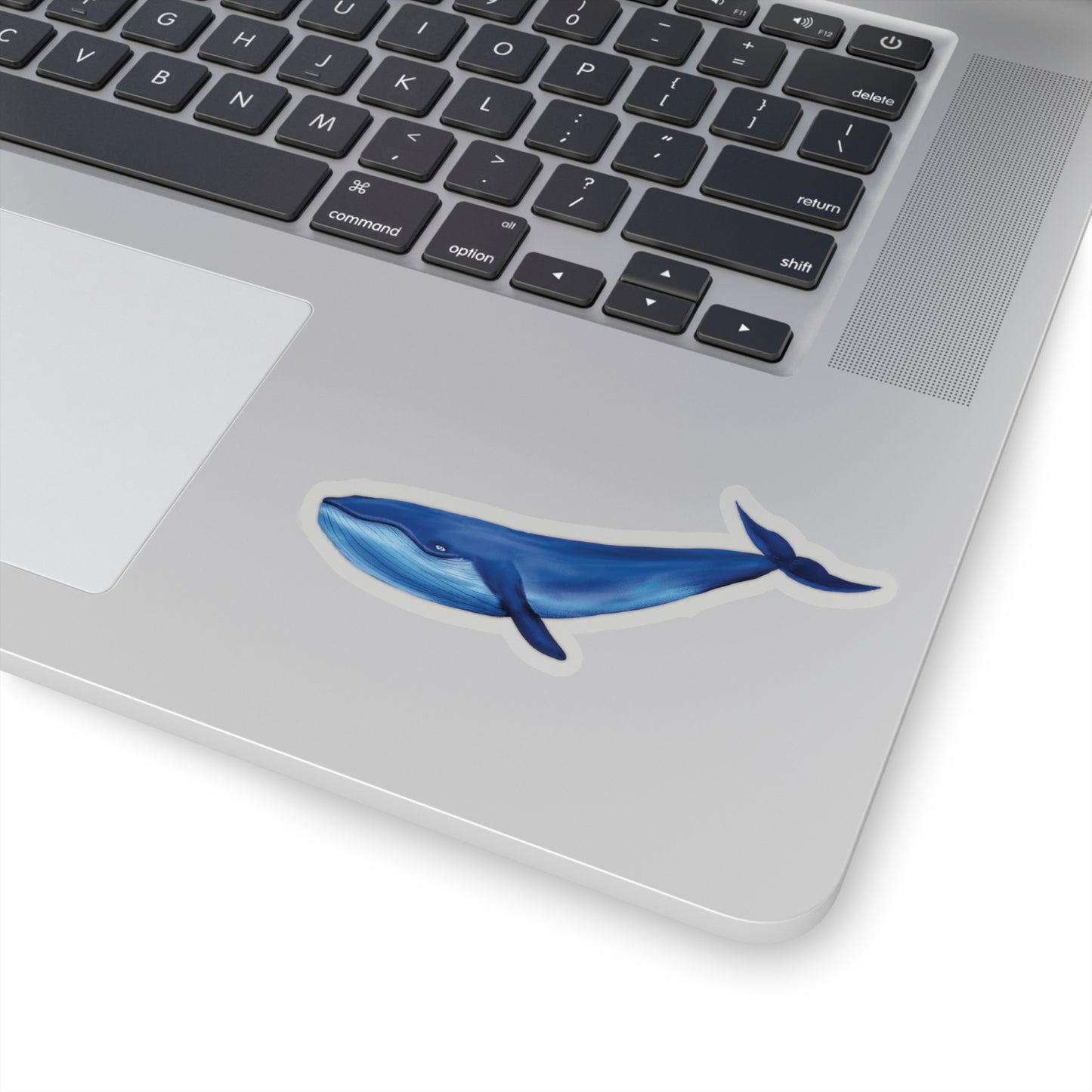 Blue Whale Sticker