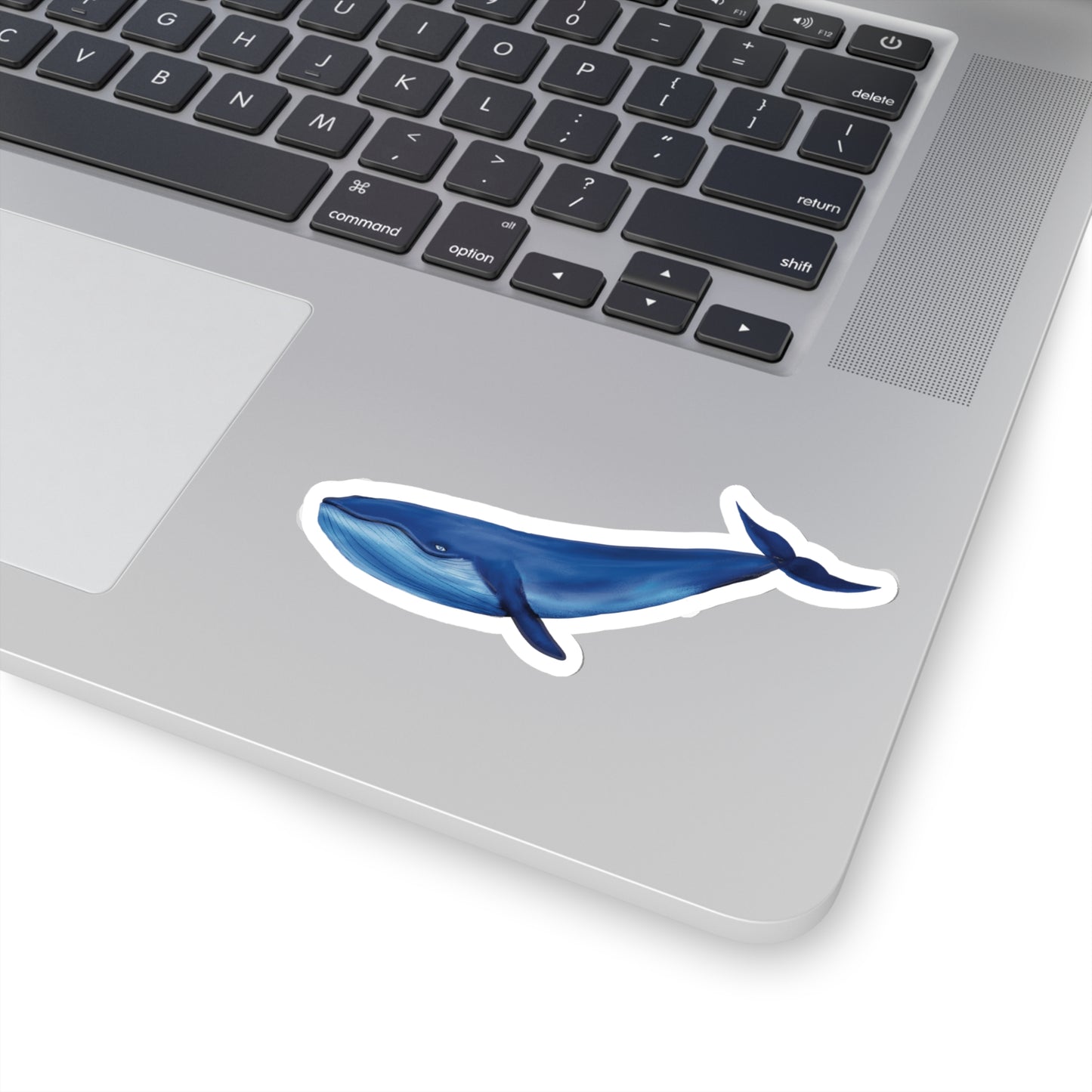 Blue Whale Sticker