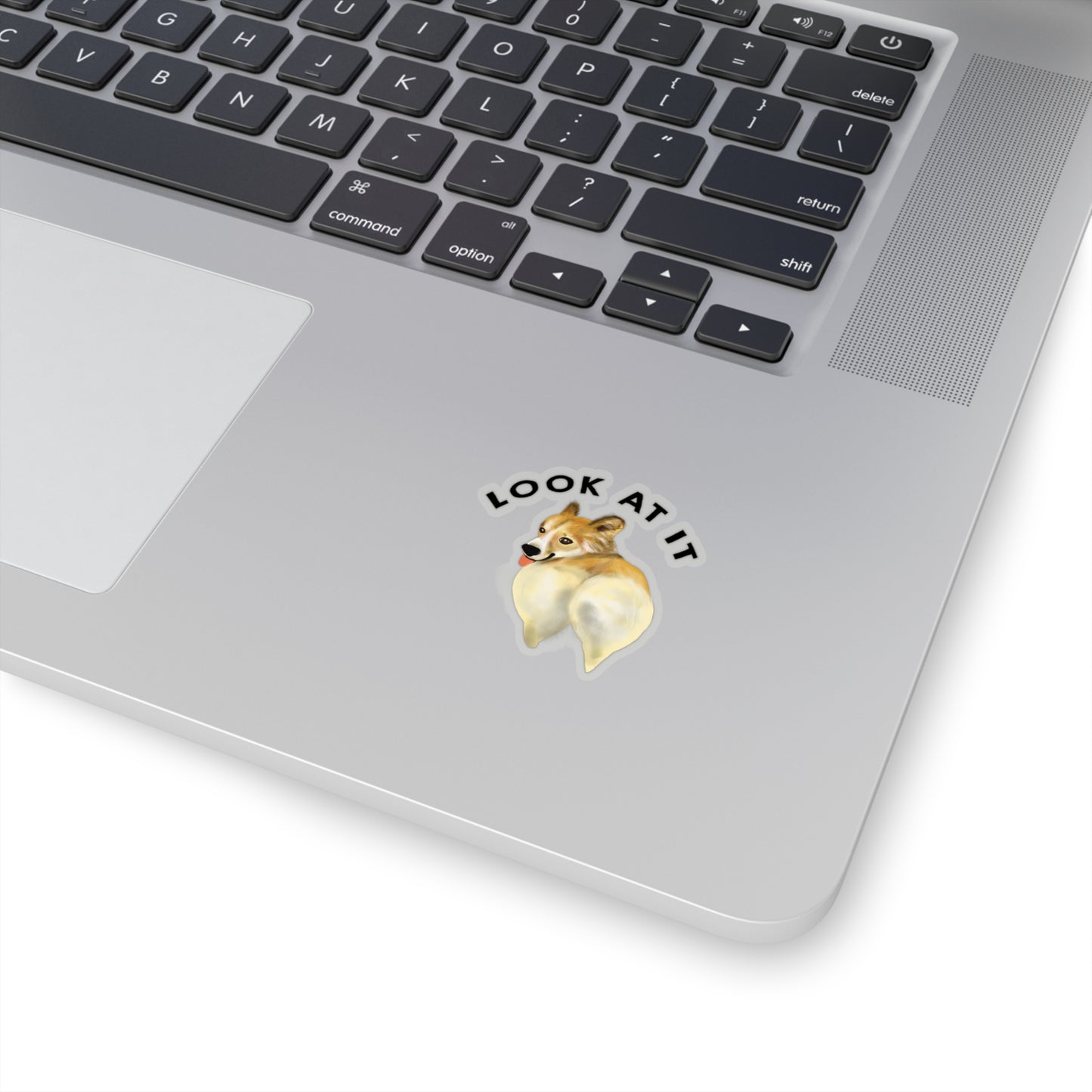Funny Corgi Lover Sticker