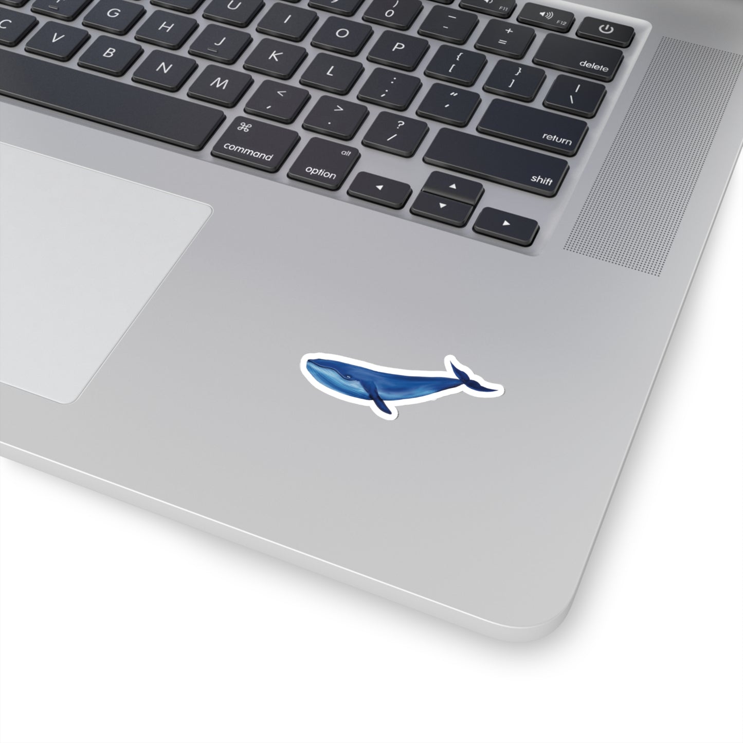 Blue Whale Sticker