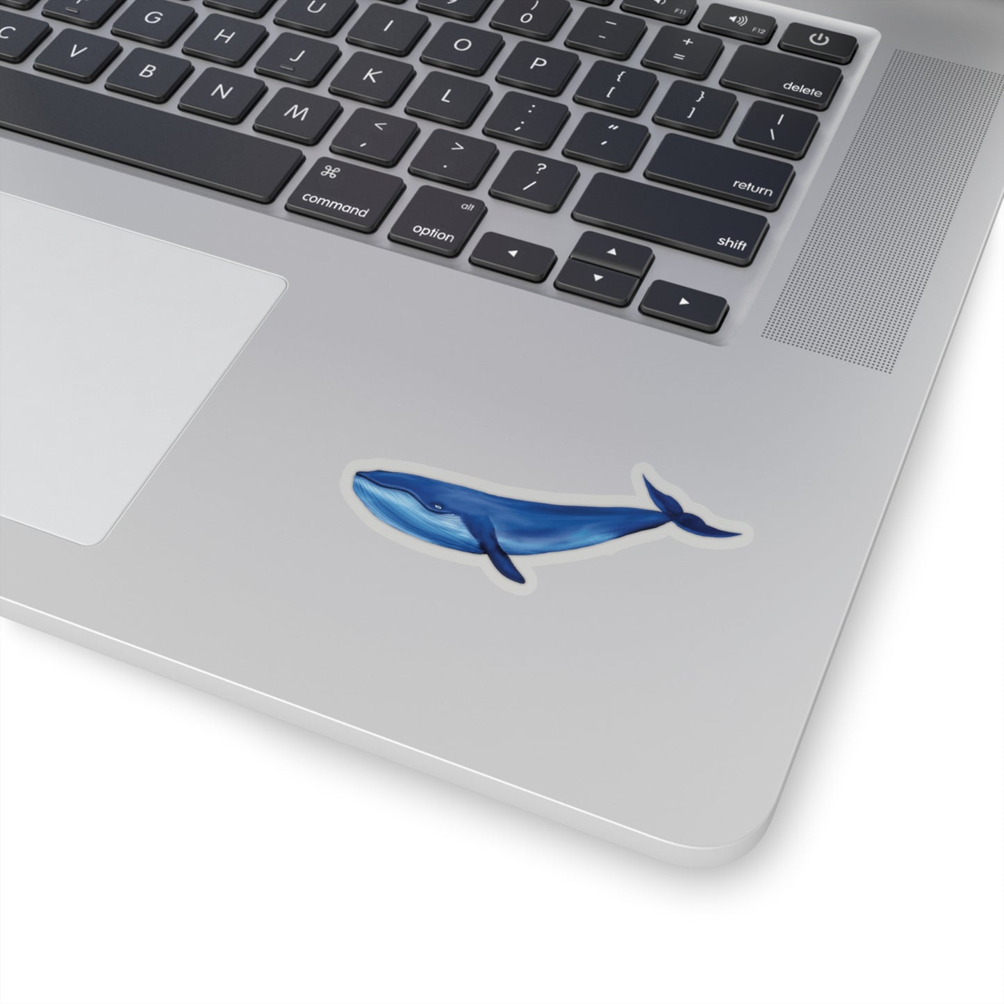 Blue Whale Sticker