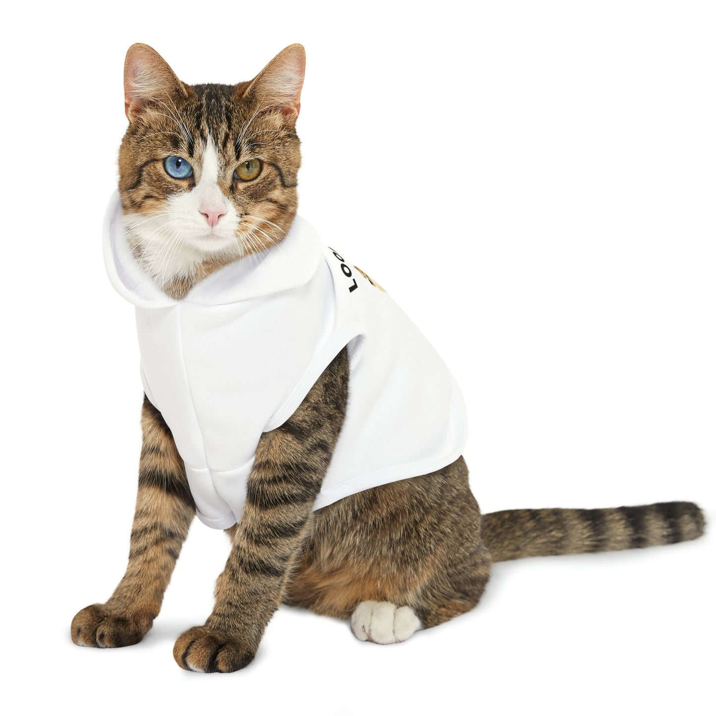 Funny Corgi Pet Hoodie