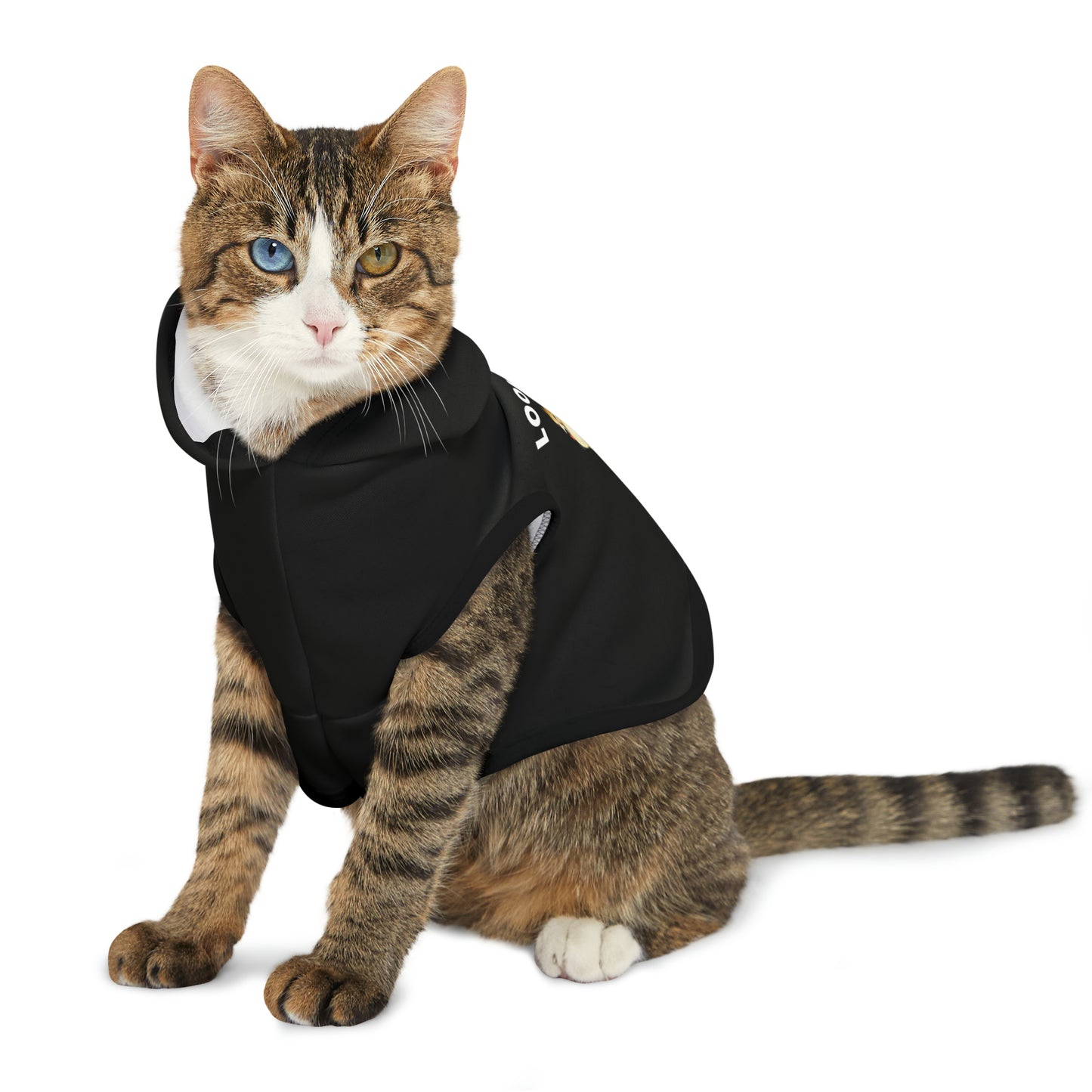 Funny Corgi Pet Hoodie