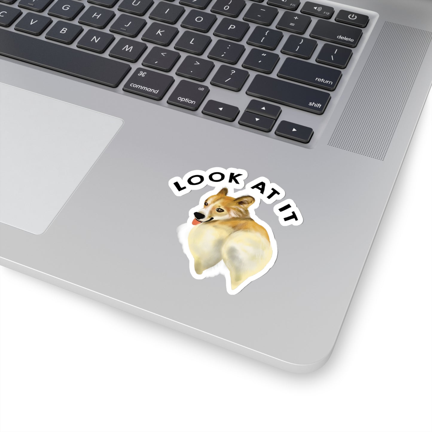 Funny Corgi Lover Sticker