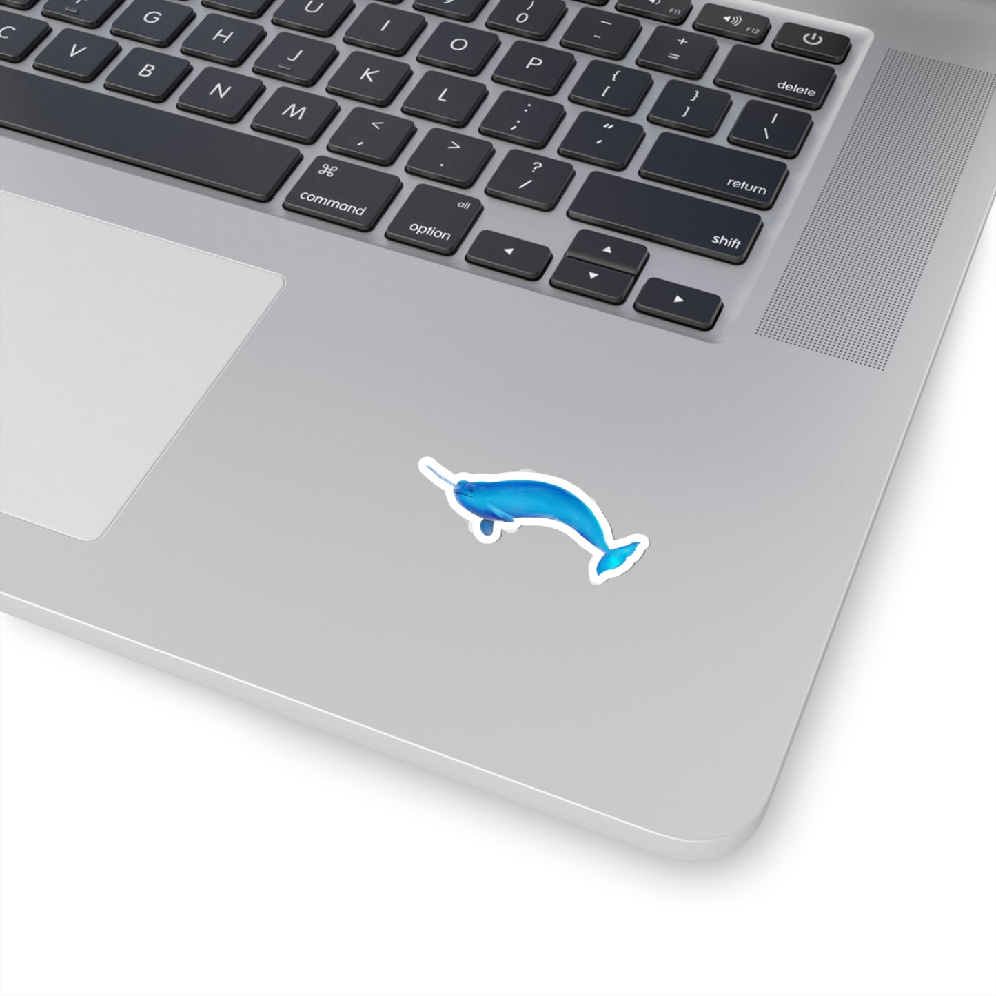 Narwhal Sticker