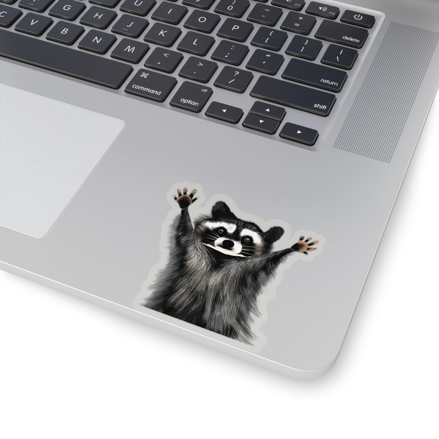 Cute Raccoon Sticker