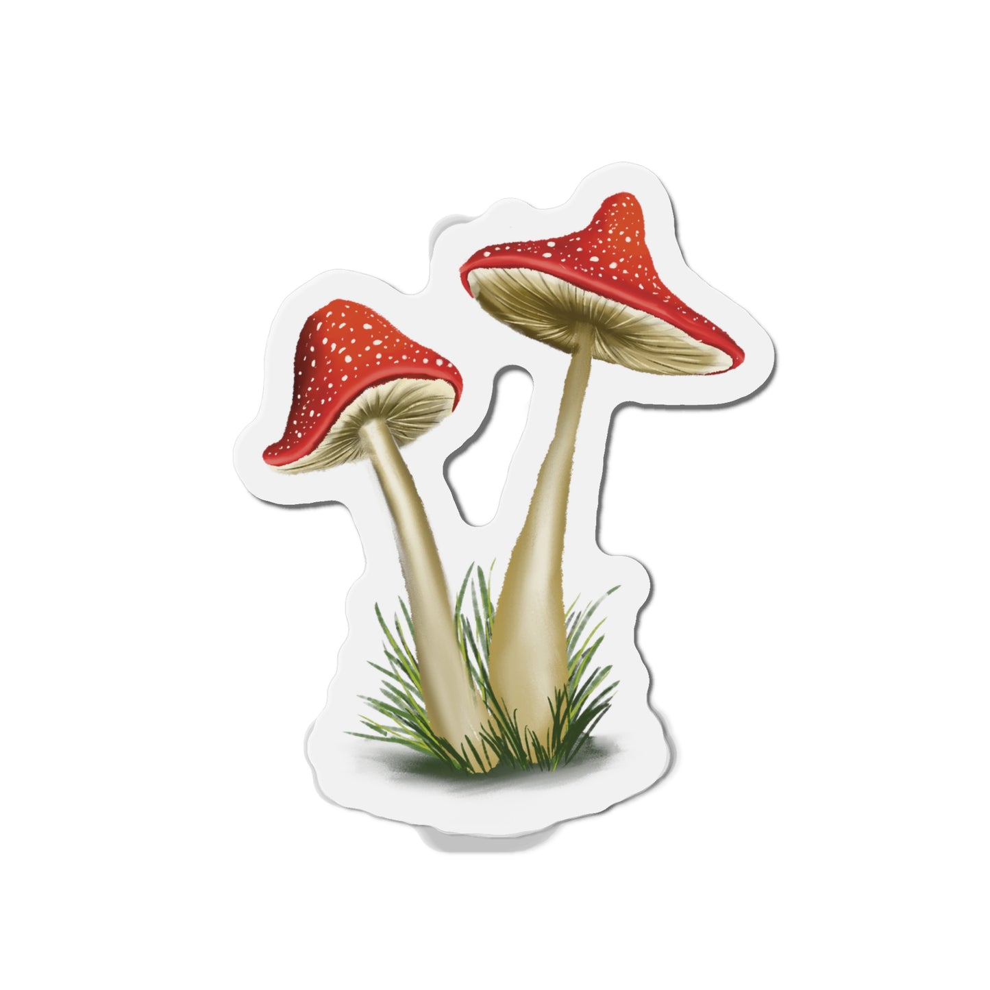 Mushroom Magnet