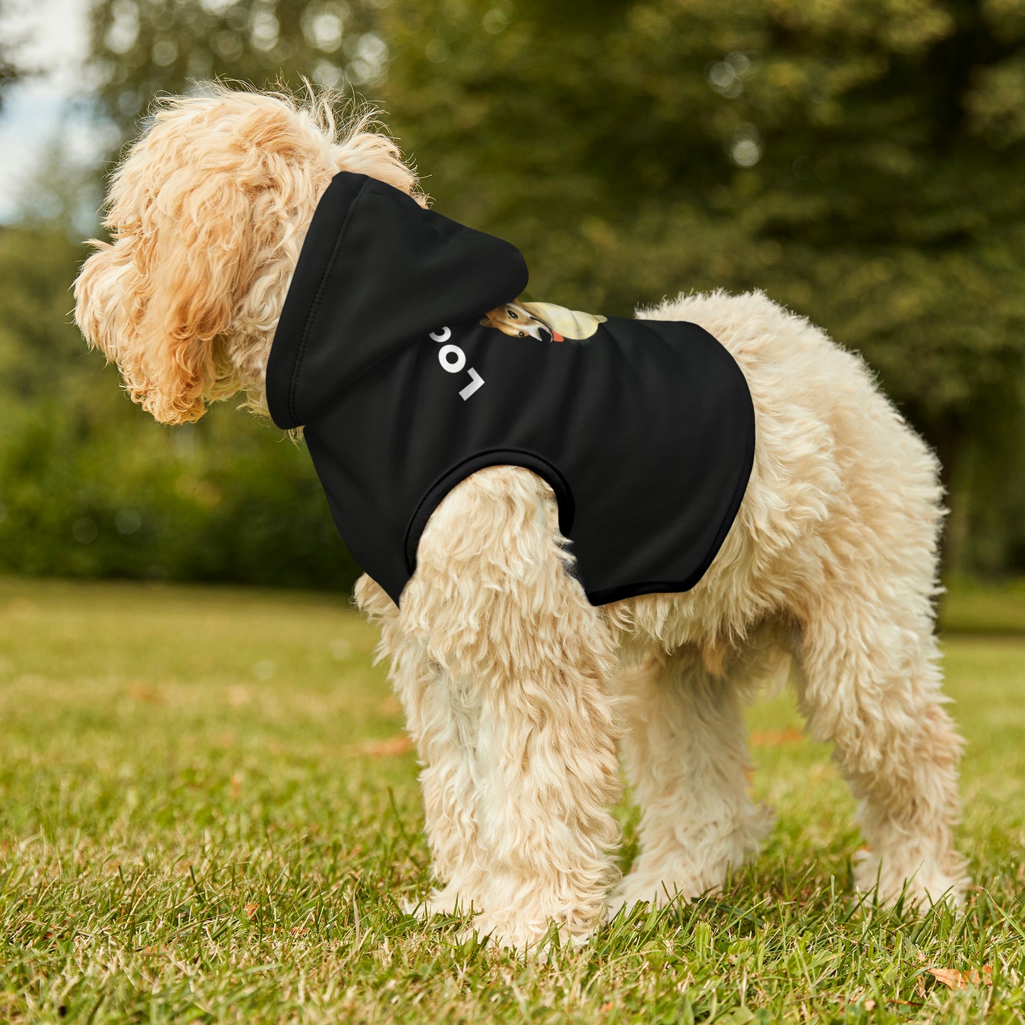 Funny Corgi Pet Hoodie