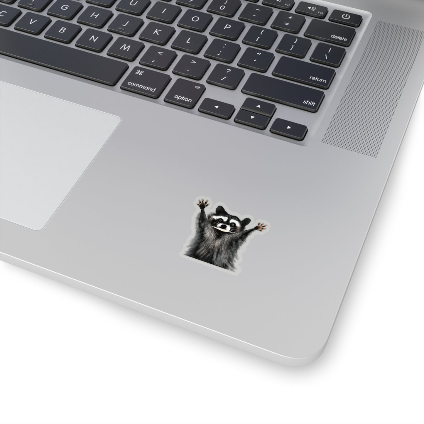 Cute Raccoon Sticker