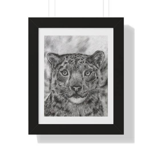 Snow Leopard Drawing Framed Poster