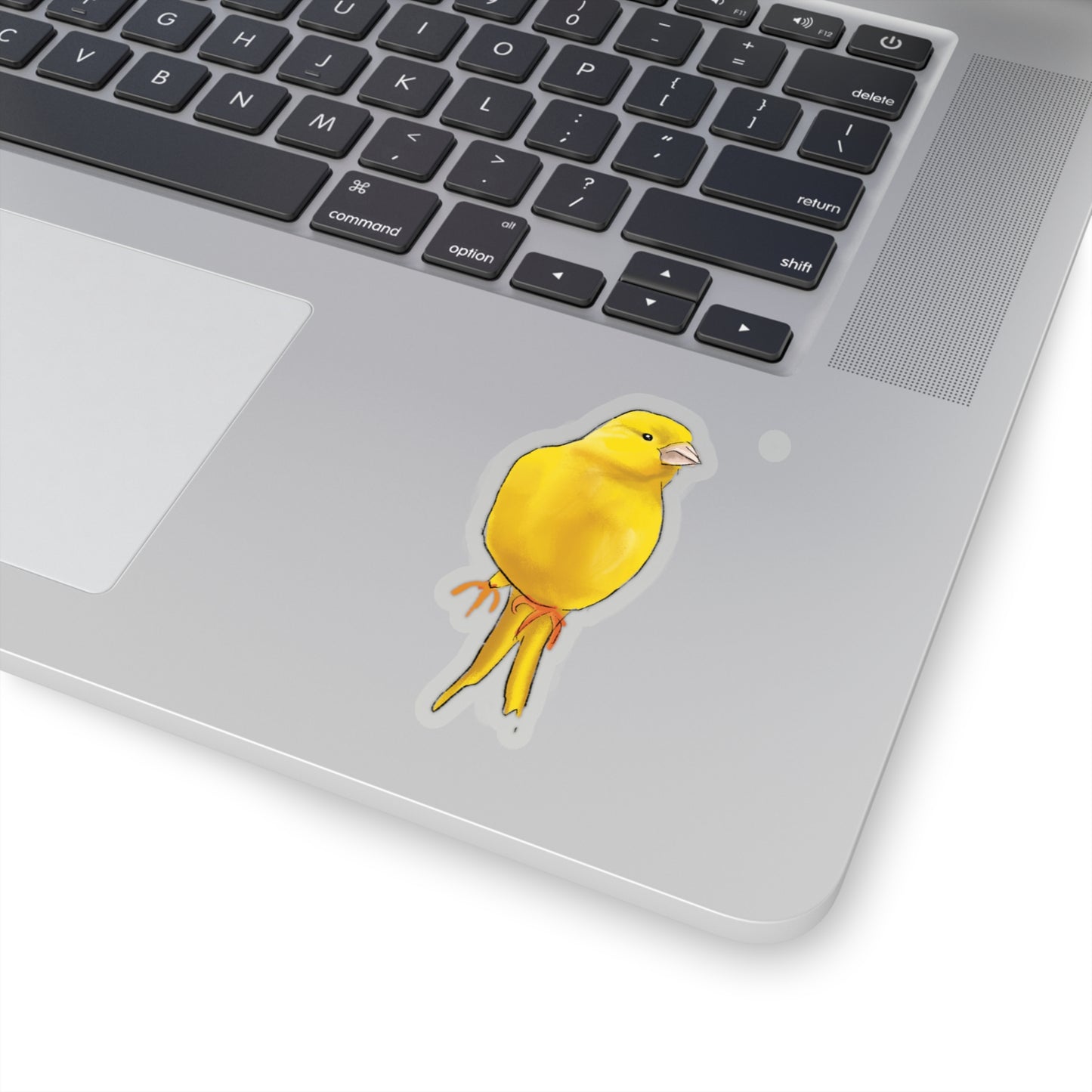 Finch Illustration Sticker