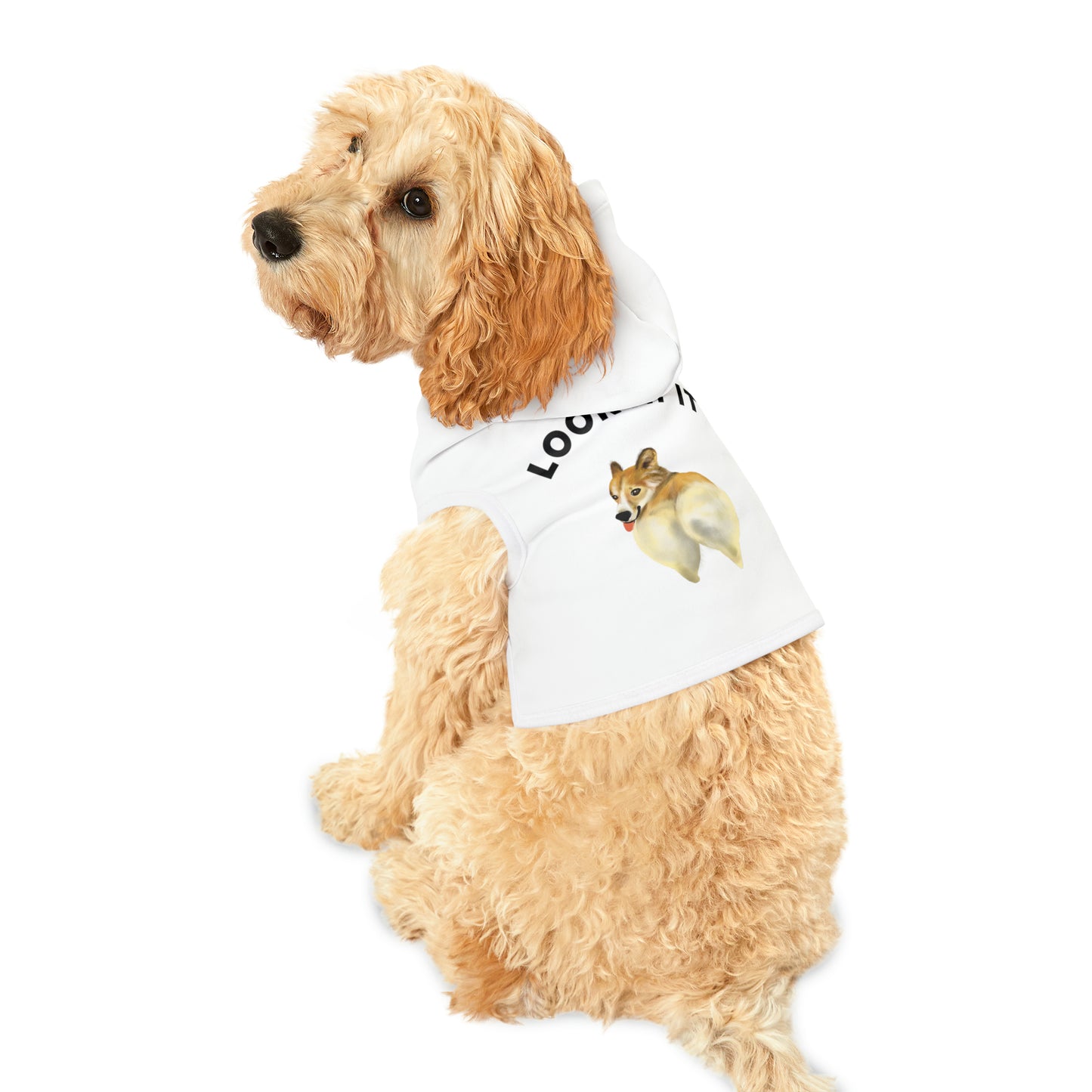 Funny Corgi Pet Hoodie