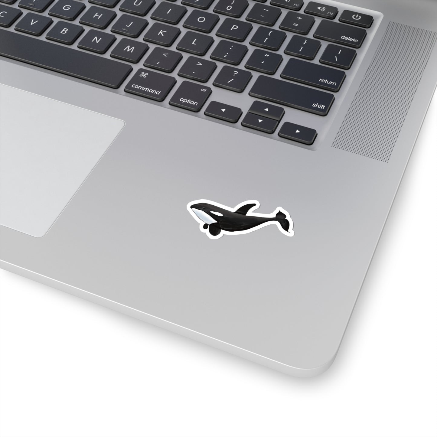 Orca Whale Sticker