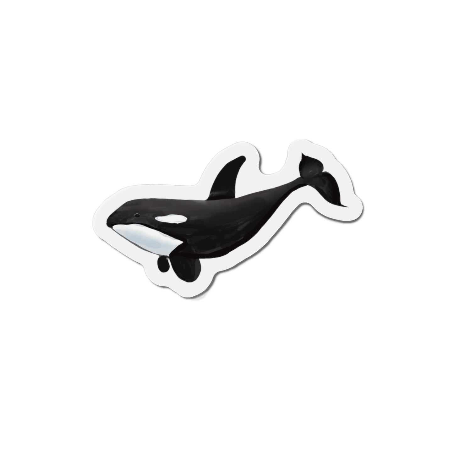 Orca Whale Magnet