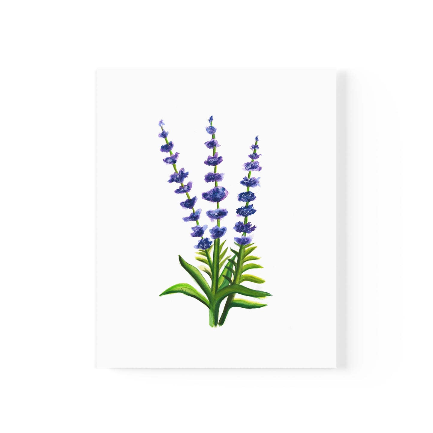 Watercolor Lavender Flowers Art Poster, Pretty Lavender flower art, watercolor wildlflowers, cute flowers