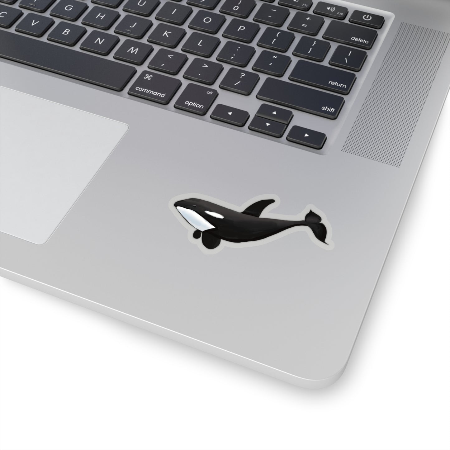 Orca Whale Sticker