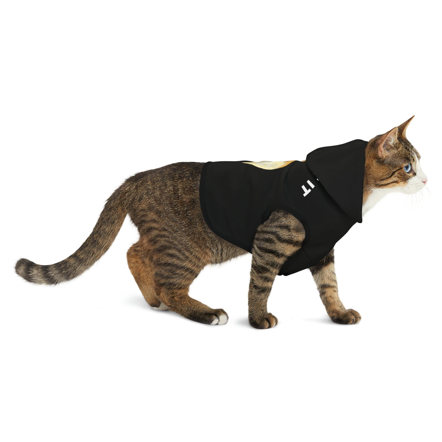 Funny Corgi Pet Hoodie