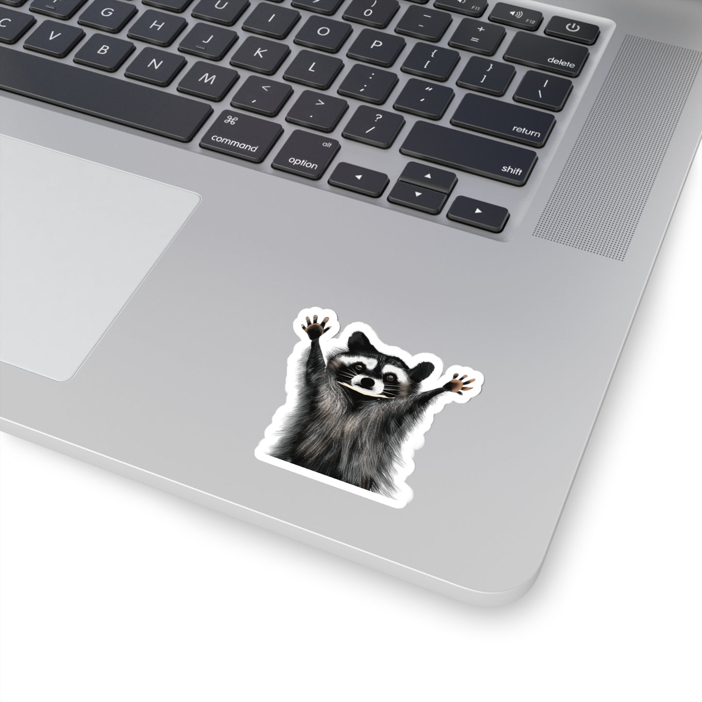 Cute Raccoon Sticker