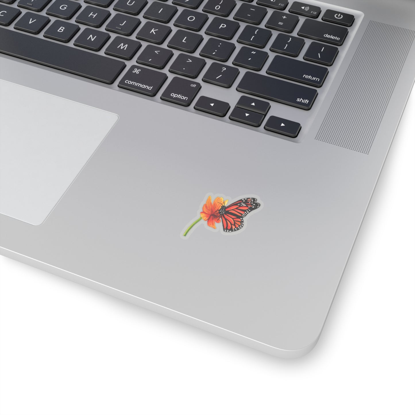 Cute watercolor Butterfly on Flower Sticker, Monarch butterfly lover sticker, water bottle, pretty back to school sticker, fun sticker, butterfly