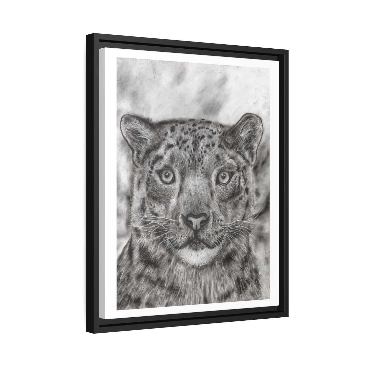 Snow Leopard Drawing Framed Art Print