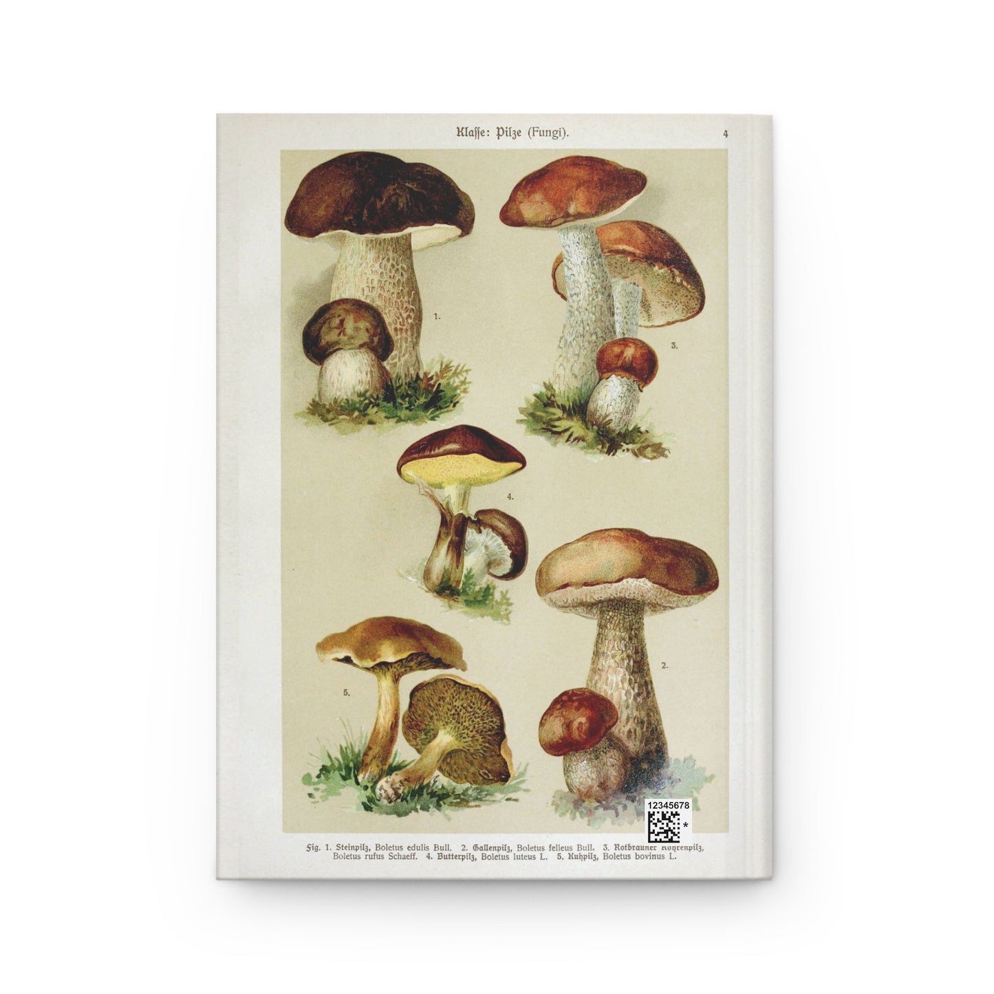 Vintage mushroom Journal, Antique mushroom Hard cover illustration journal cool, pretty mushroom vintage retro botanical art print journal,