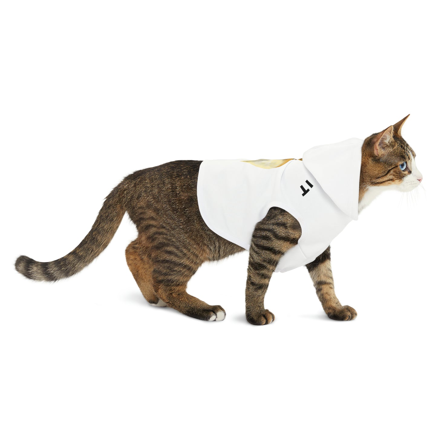Funny Corgi Pet Hoodie