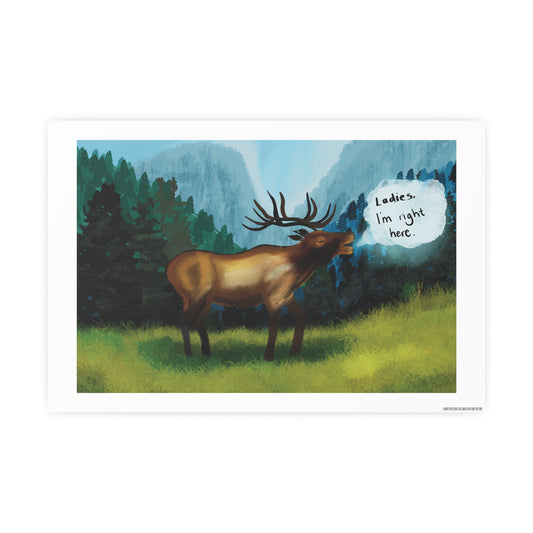 Confident Elk Poster