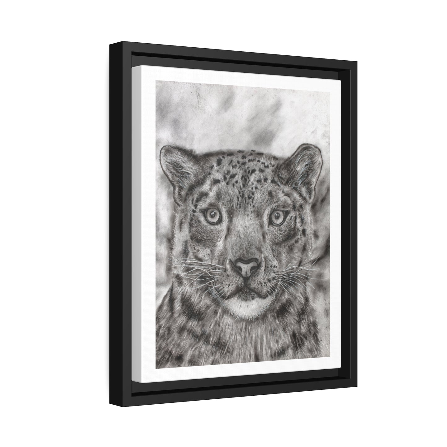 Snow Leopard Drawing Framed Art Print