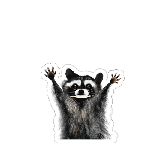 Cute Raccoon Sticker