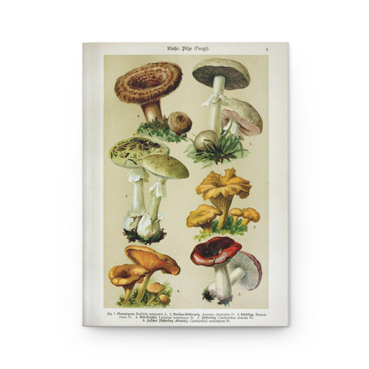 Vintage mushroom Journal, Antique mushroom Hard cover illustration journal cool, pretty mushroom vintage retro botanical art print journal,