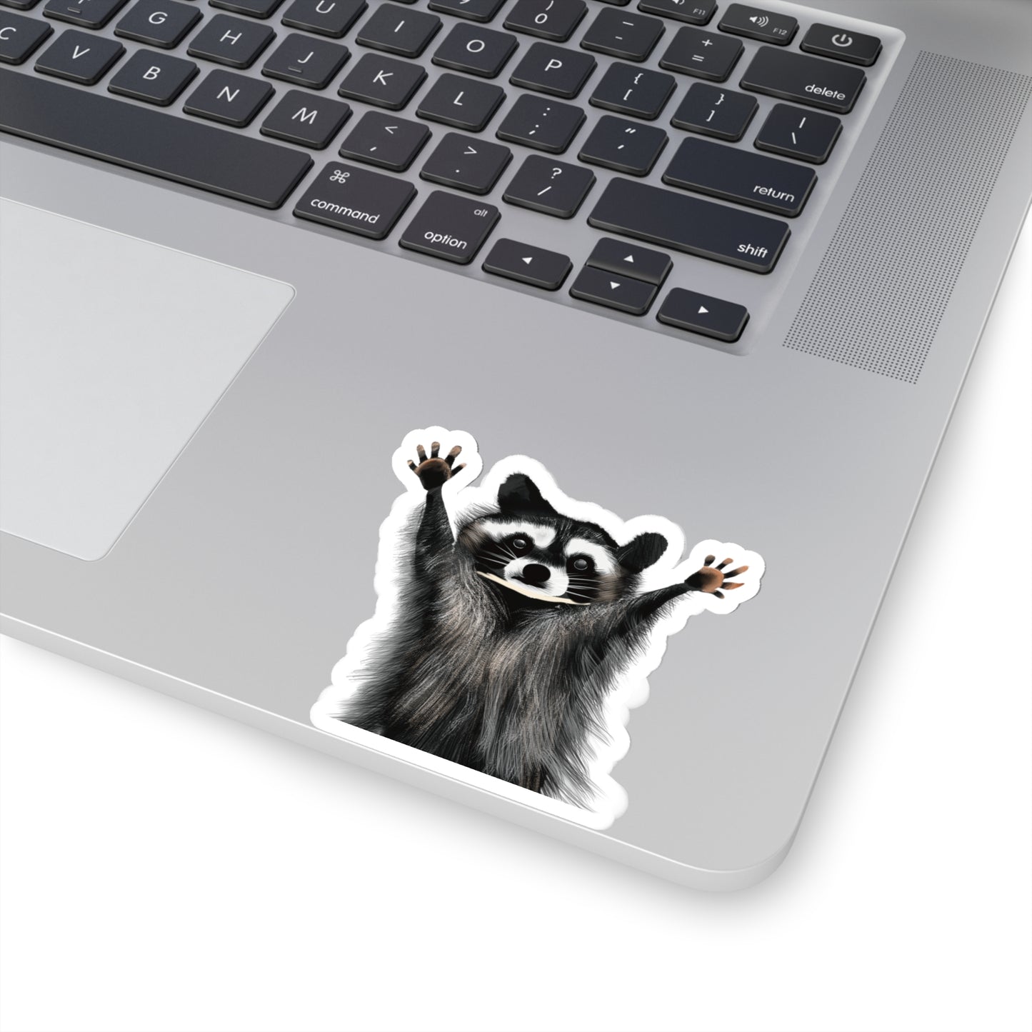 Cute Raccoon Sticker