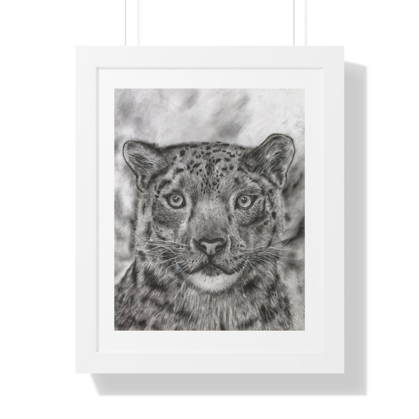 Snow Leopard Drawing Framed Poster