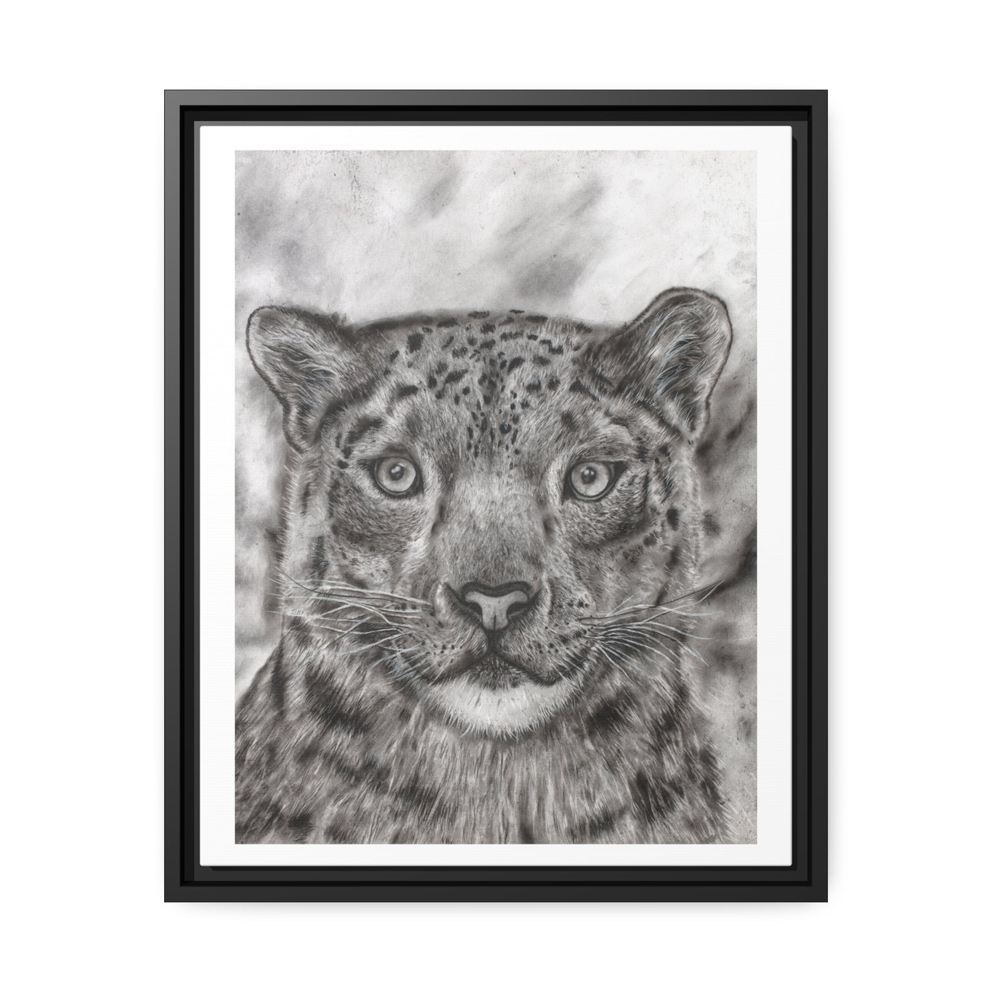 Snow Leopard Drawing Framed Art Print