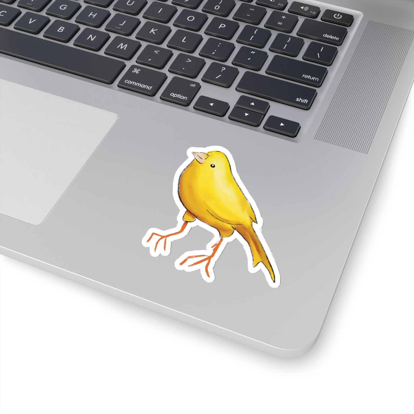 Finch Drawing Sticker